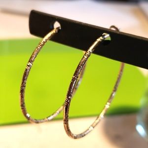 Sensitive Solution Hoop Earrings